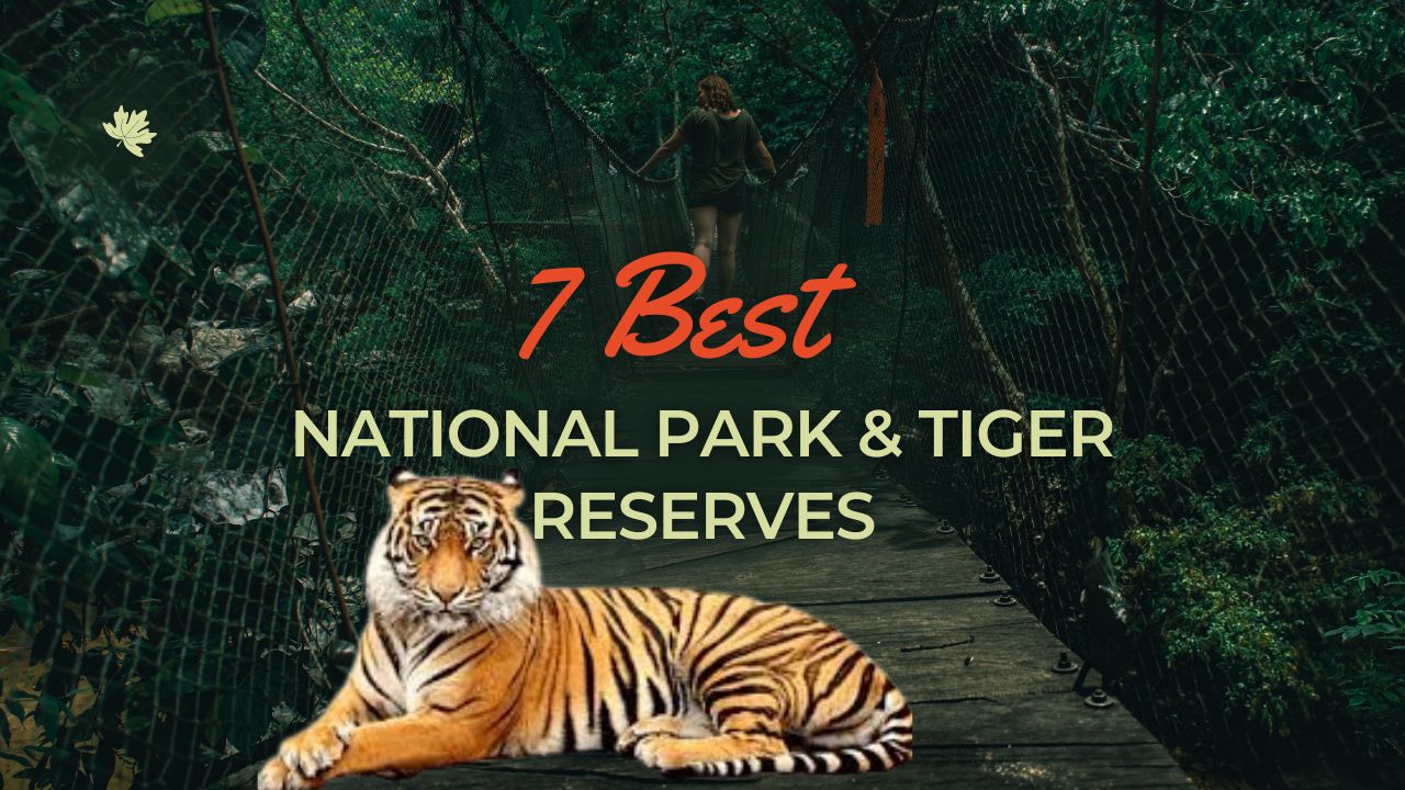 7 Best National Park and Tiger Reserves