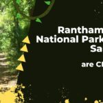 Ranthambore National Park and Sariska are Closed