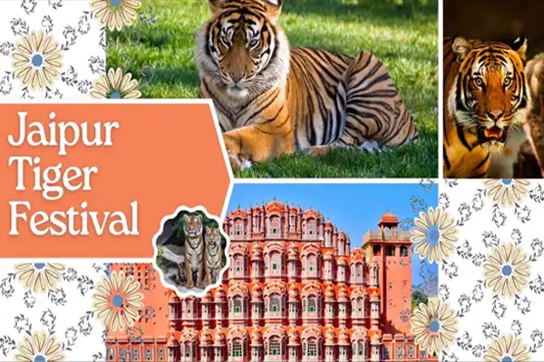 jaipur tiger festival